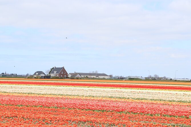 Small Group Keukenhof and Delft Guided Tour from Amsterdam - The long-day logistics: timing, group size, and what to watch for