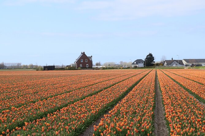 Small Group Keukenhof and Delft Guided Tour from Amsterdam - Who this tour is best for, and who should skip it