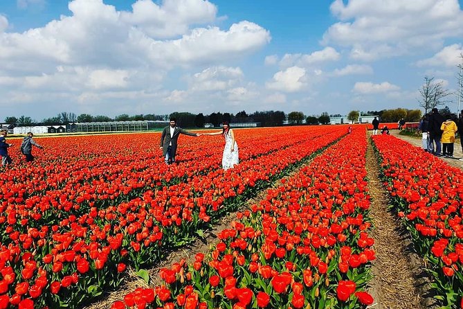 Small Group Keukenhof and Delft Guided Tour from Amsterdam - Should you book this Keukenhof and Delft small-group day trip?