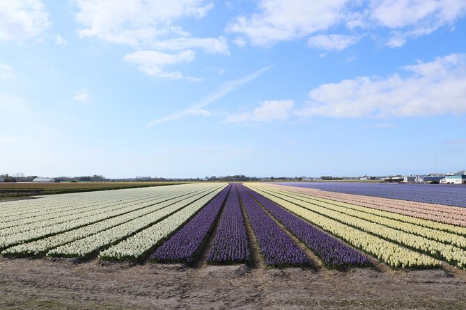 Small Group Keukenhof and Delft Guided Tour from Amsterdam - FAQ