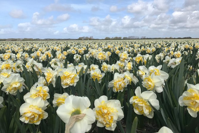 Small Group Tulip and Spring Flower Fields Bike Tour - What stops feel like: a typical flow through the countryside
