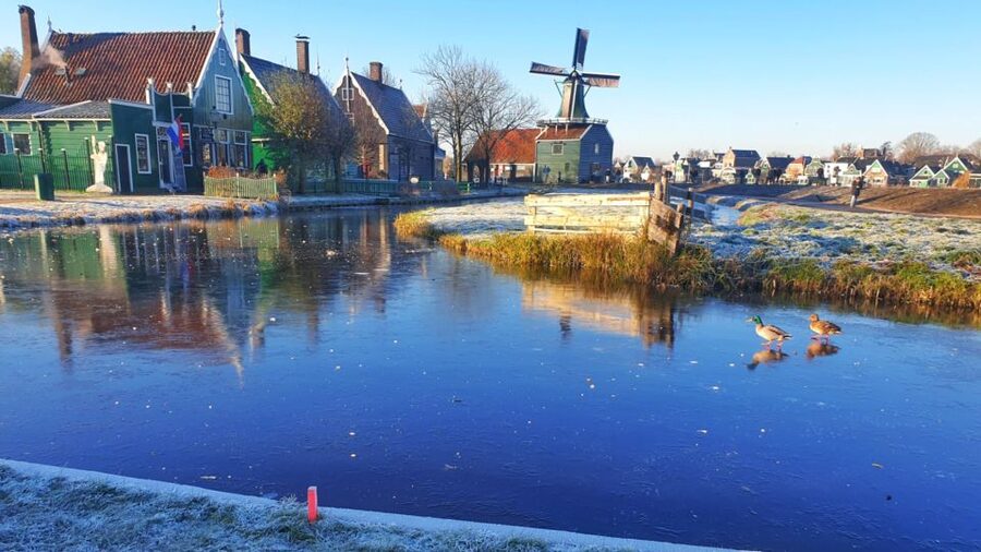 Small Group Zaanse Schans & Volendam Tour w/ Hotel Pick up - Volendam at noon: seaside walking, old port vibes, and local treats