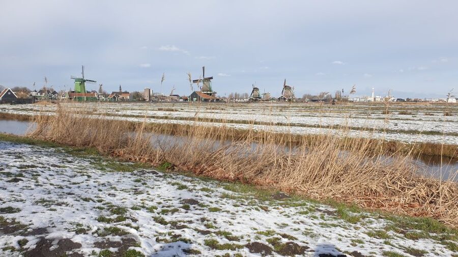 Small Group Zaanse Schans & Volendam Tour w/ Hotel Pick up - Hotel pickup, 9-seater van, and why the small group matters