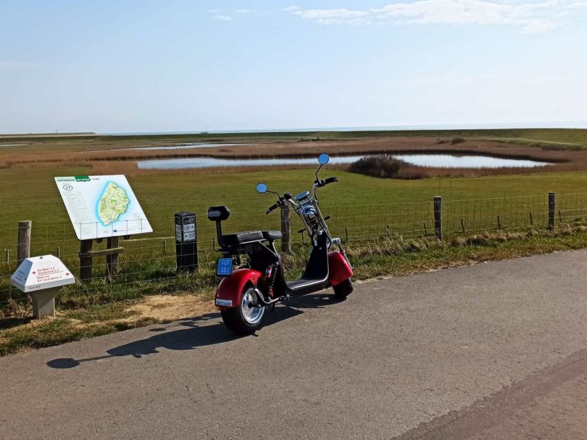 Texel: E-Scooter Rental - Why an e-scooter makes Texel feel bigger in 3 hours
