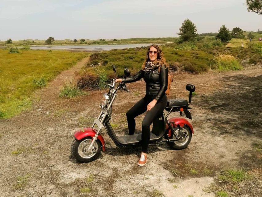 Texel: E-Scooter Rental - Your self-paced loop: heathlands, beaches, sheep, and the lighthouse