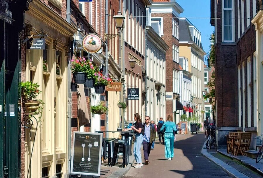 The Hague: City Walking Tour - Price and value: why $9 works here