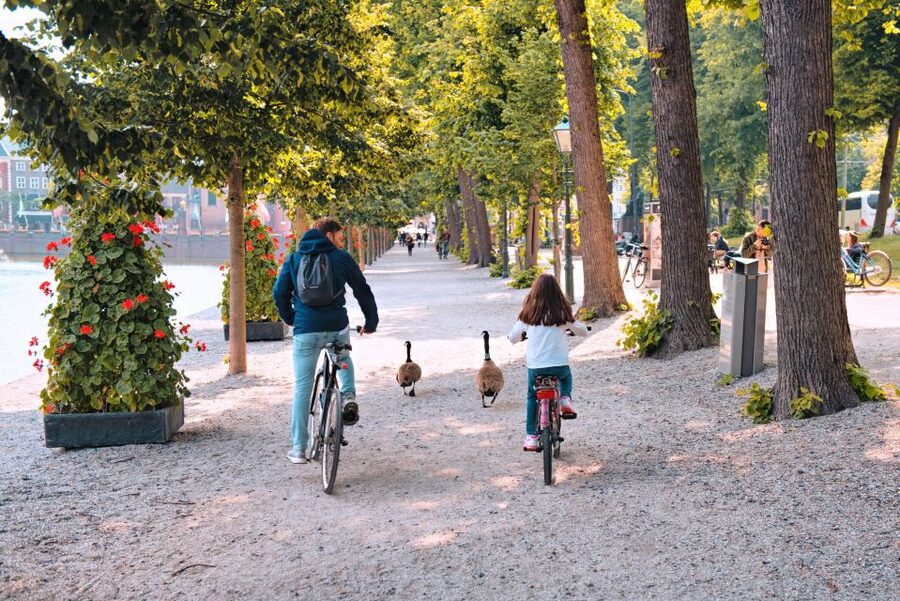 The Hague: Highlights Bike Tour - Comfortable bike rules you should know up front