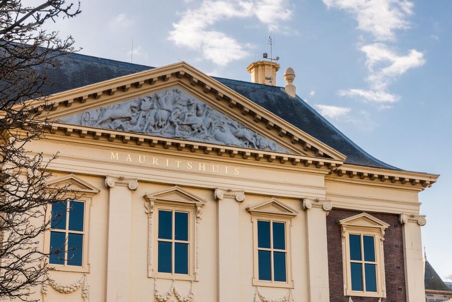 The Hague: Mauritshuis Entrance Ticket - The palace interior details that make the art hit harder