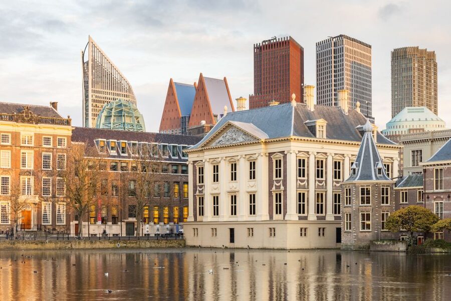 The Hague: Mauritshuis Entrance Ticket - The free multimedia app audio tour, headphones, and phone setup
