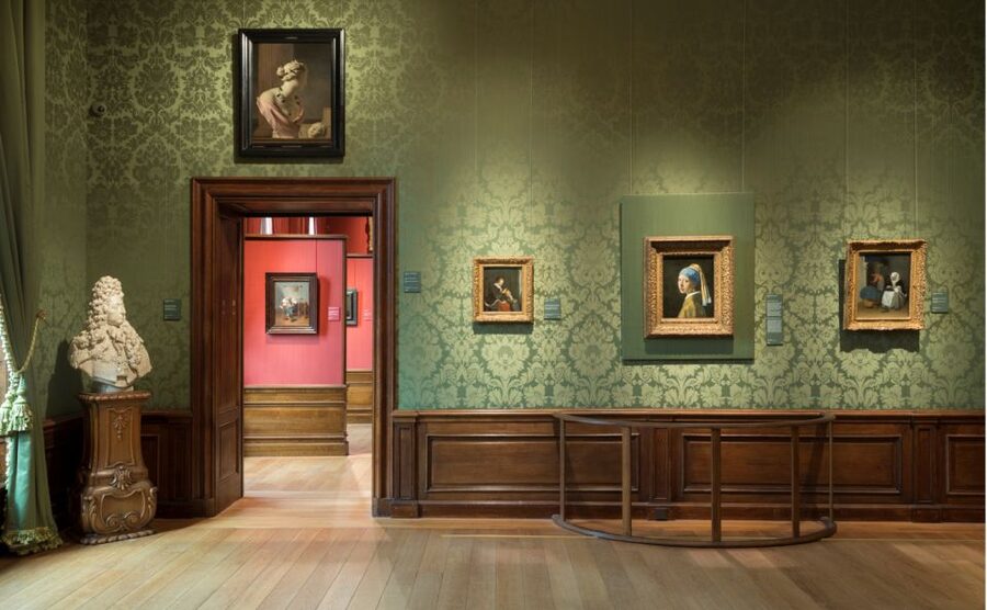 The Hague: Mauritshuis Entrance Ticket - The temporary exhibition Birds (Feb 12 to Jun 7, 2026)