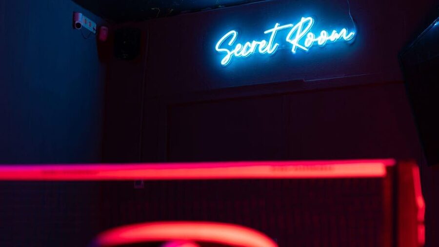 The Hague: Ping Pong Table Rental at a Secret Ping Pong Bar - Private room energy, music control, and the big screen option