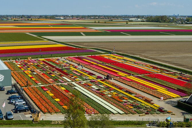 Tour to Giethoorn and Keukenhof Tulip Fields from Amsterdam - The host factor: why Martijn and Simon come up again and again