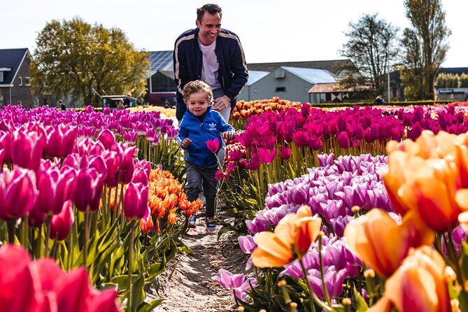 Tulip Experience and Keukenhof Flower Gardens Tour from Amsterdam - Why this private tulip day feels smoother than DIY