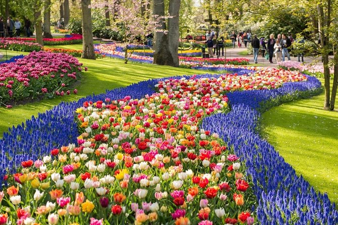 Tulip Experience and Keukenhof Flower Gardens Tour from Amsterdam - Keukenhof entry without the line, and how to use your 2.5 hours well