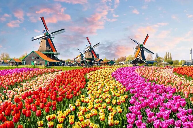 Tulip Paradise: Keukenhof Half-Day Private Tour - Pickup in Amsterdam, Rotterdam, or Brussels: less stress, more time for flowers