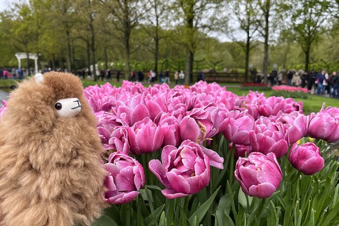 Tulip Paradise: Keukenhof Half-Day Private Tour - Price and value: what you’re really paying for