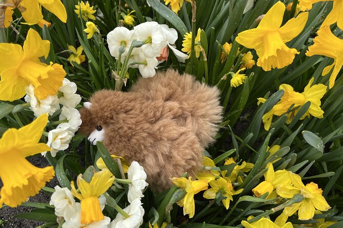 Tulip Paradise: Keukenhof Half-Day Private Tour - What’s included, what to bring, and what to expect at check-in