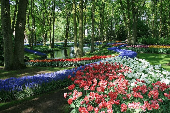 Tulip Paradise: Keukenhof Half-Day Private Tour - Who should book this Keukenhof half-day private tour?