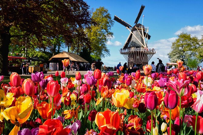 Tulip Paradise: Keukenhof Half-Day Private Tour - Keukenhof Gardens at 11:00 AM: self-guided time with a friendly safety net