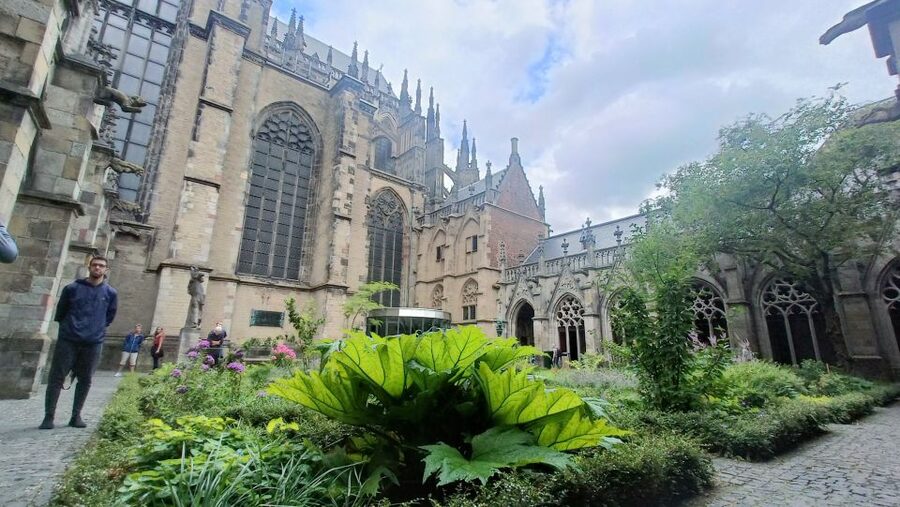 Utrecht: Guided Highlights Walking Tour - Stadhuisbrug and Bibliotheek Neude: Bridge Views and a Smart City Center