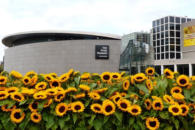 Van Gogh Museum Ticket with Audio Guide and Unlimited Access Time - Cro
