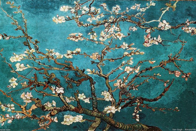 Van Gogh Museum Tour Reserved Entry Semi Private - The whole-day ticket: why you should not rush after the tour
