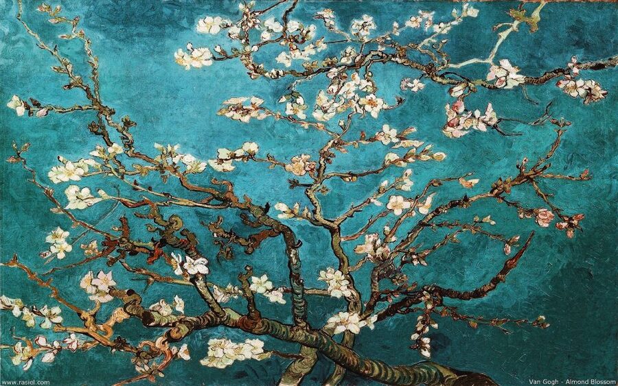 Van Gogh & Rijksmuseum Masterpieces Guided Tour 8 guests 5h - The $281-per-person value: two museums, one organized story