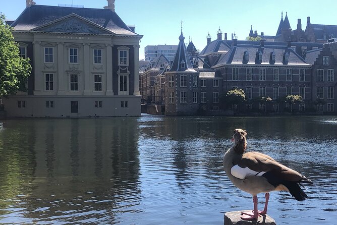 Visit the Girl with the Pearl Earring, The Hague & Delft City - The Hague walking loop, parliament and palaces on cobblestones