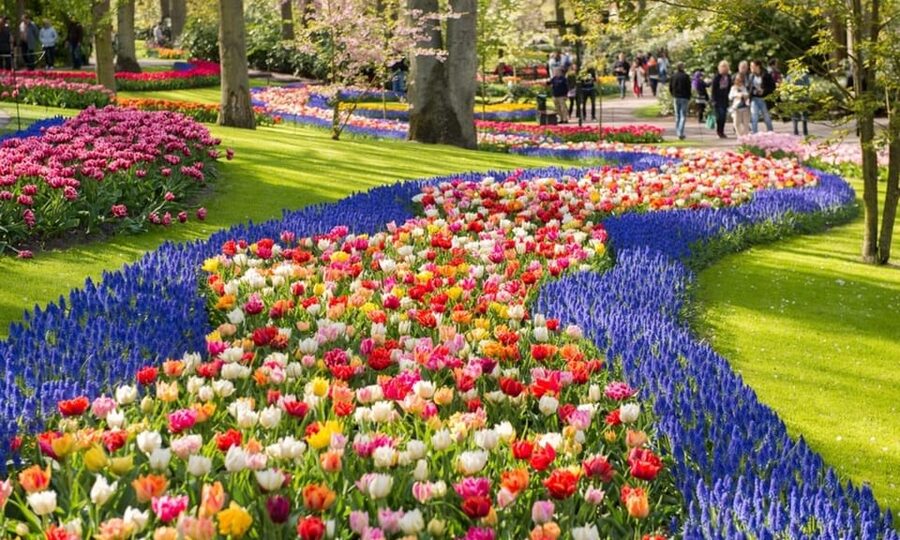 Warmond: Windmill Cruise and Keukenhof Entry Ticket - The 1-hour windmill cruise on the Kagerplassen (Amsterdam Lakes)