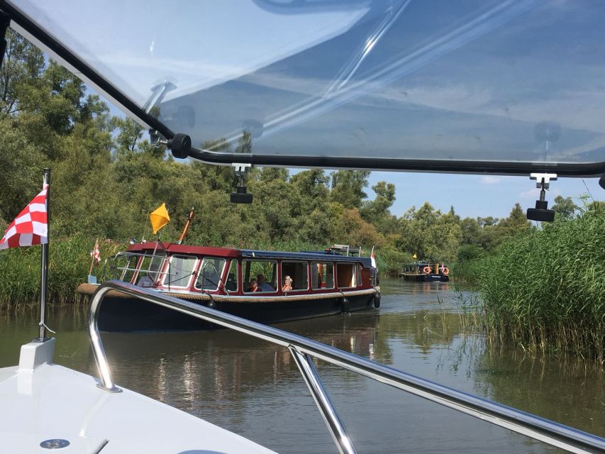 Werkendam: Boat Cruise and Biesbosch Museum Entry Ticket - The boat cruise: narrow trenches, quiet water, and wildlife to watch for