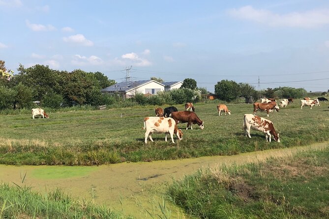 Windmill, Dairy Farms & Countryside Electric Bike Tour - Zunderdorp and Ransdorp village riding with church views