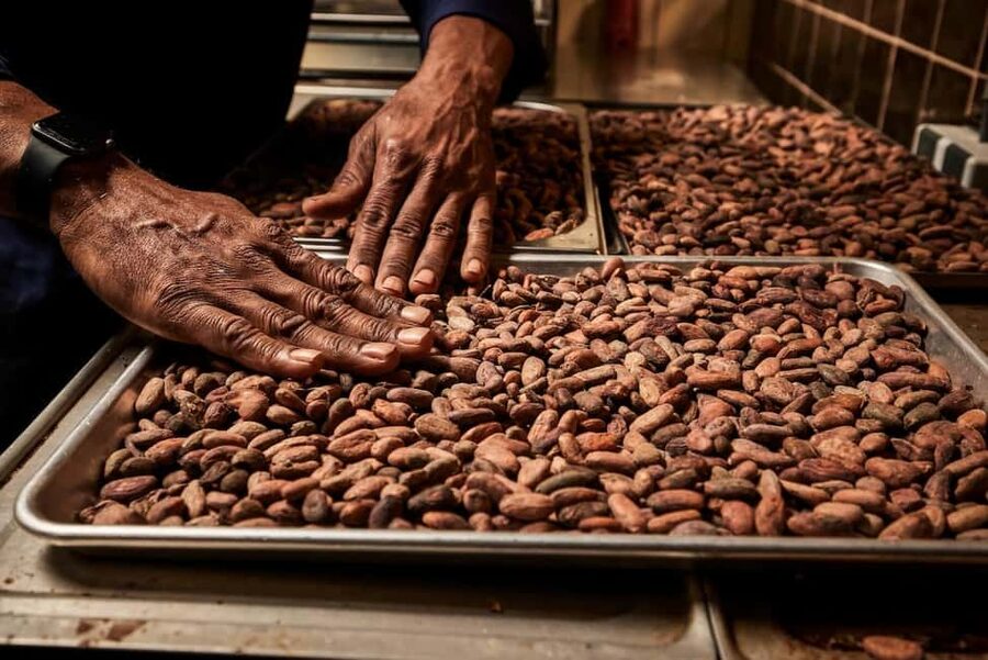 Zaandijk-Near Zaanse Schans Chocolate making demo & tasting - Price and value: is $29 worth 45 minutes?