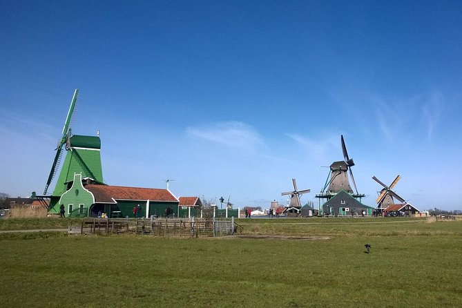 Zaanse Schans 3-Hour Private Tour from central Amsterdam, Airport or Port - Stop 3: Catharina Hoeve cheese farm tasting