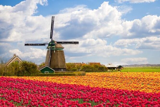 Zaanse Schans and Volendam Private Tour from Amsterdam - Zaanse Schans: Windmills and Dutch Details Without the Crowds